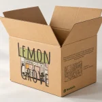 RSC / Shipping Boxes