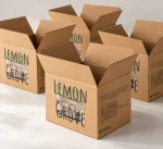 RSC / Shipping Boxes - Image 3