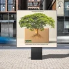 Packaging Vancouver: Your Guide to Custom and Sustainable Cardboard Packaging New Solutions in 2025