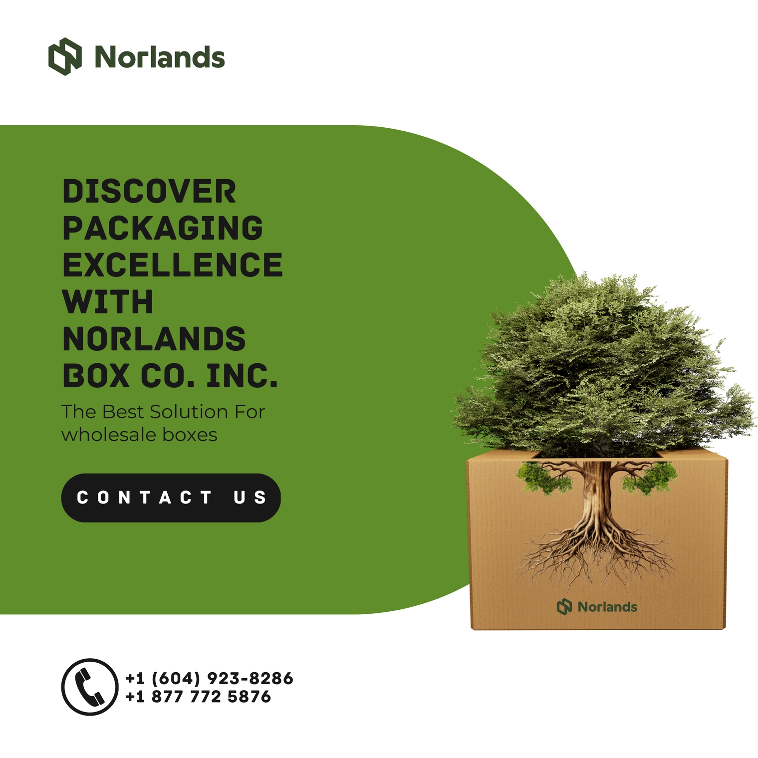 The image features an advertisement for Norlands Box Co. Inc., highlighting their expertise in wholesale boxes and sustainable packaging solutions. The design showcases a kraft box with a tree growing out of it, symbolizing eco-friendly practices and innovation. A green background frames the text: "Discover Packaging Excellence with Norlands Box Co. Inc. – The Best Solution for Wholesale Boxes," along with a prominent "Contact Us" button. The ad includes contact numbers, emphasizing accessibility and customer engagement.