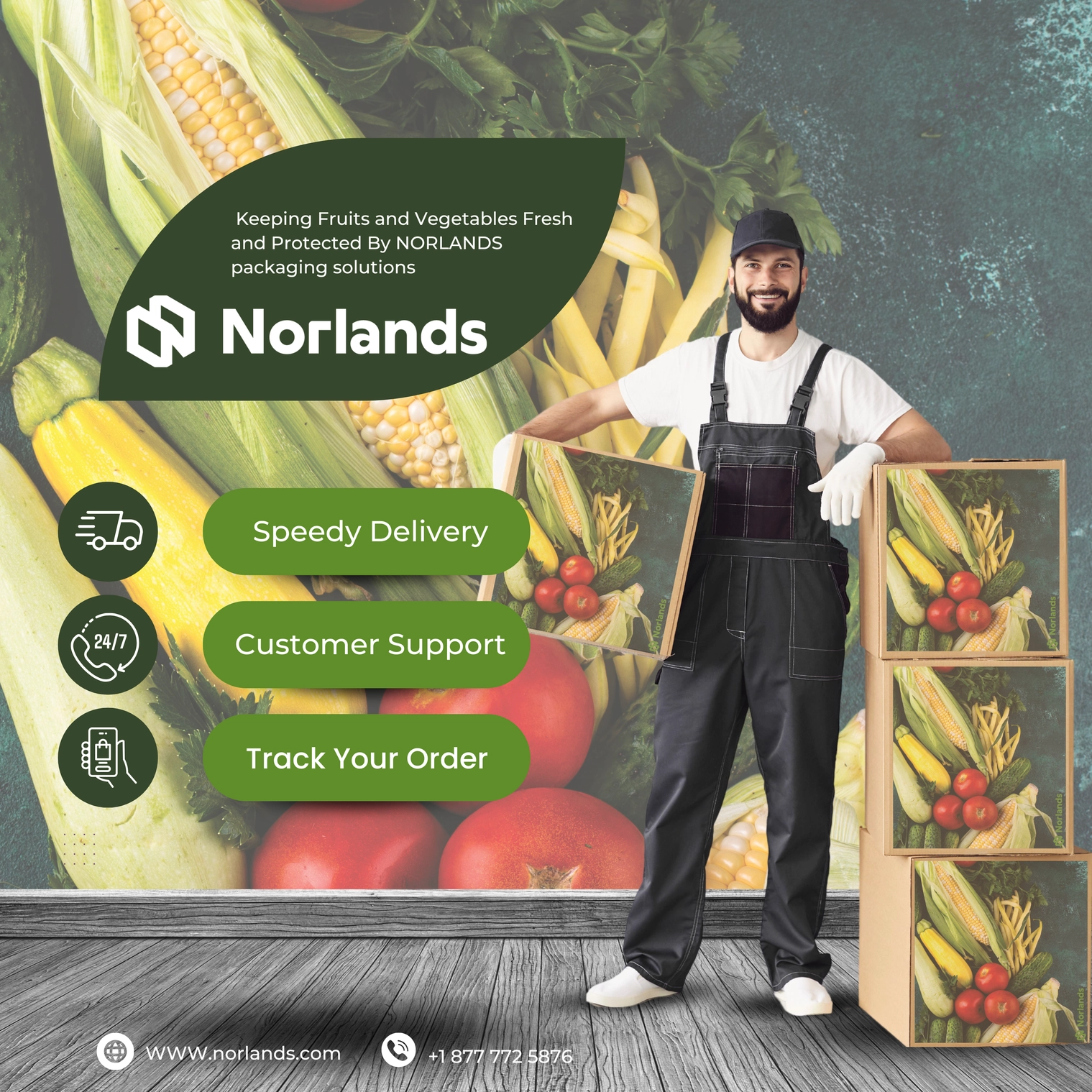 The image showcases a worker standing next to neatly stacked boxes filled with fresh fruits and vegetables. The boxes, branded with colorful produce designs, emphasize freshness and protection. The banner highlights Norlands packaging solutions, offering "Speedy Delivery," "Customer Support," and "Track Your Order" services. A vibrant background of produce reinforces the brand's commitment to quality and freshness. Contact information and the website are also displayed for easy customer access.