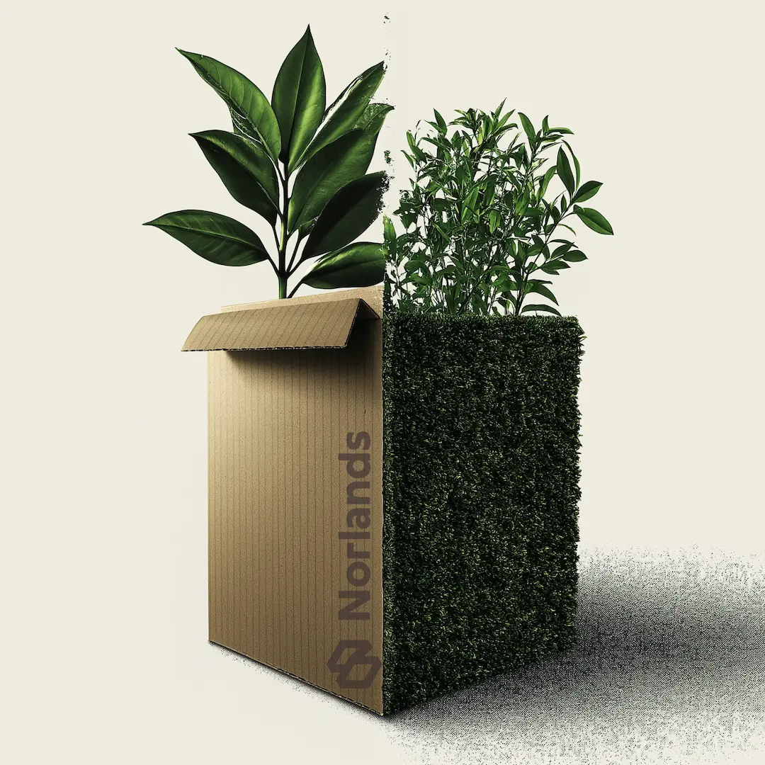 Creative split image of a Norlands corrugated cardboard box transforming into a green plant-covered cube, symbolizing the fusion of sustainable packaging and nature-friendly innovation.