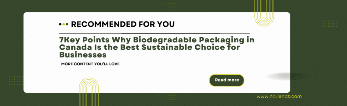 "Promotional banner recommending related content about Corrugated Cardboard Sheets in Canada for businesses seeking sustainable packaging solutions"