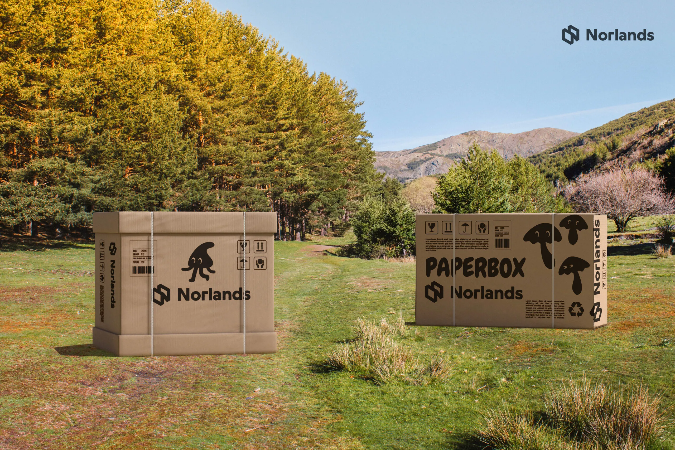 Large Norlands paper packaging boxes displayed outdoors on a scenic green path surrounded by trees and mountains, highlighting eco-friendly and durable design.