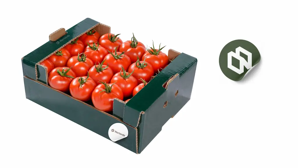 A sturdy Norlands corrugated produce crate filled with fresh red tomatoes, showcasing strength, ventilation, and food-safe packaging.