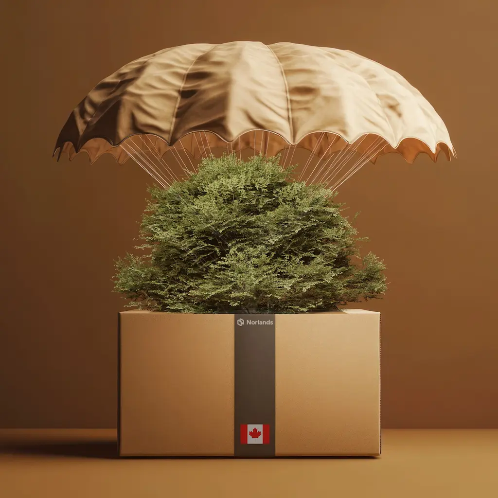 Custom Product Boxes in Canada- Cardboard box with a Canadian flag label carrying a green plant, protected by a large parachute above, symbolizing safe and eco-friendly delivery.