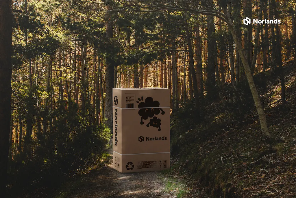 "Eco-friendly Norlands cardboard box standing on a forest trail, highlighting sustainable packaging solutions — Boxes in Vancouver."