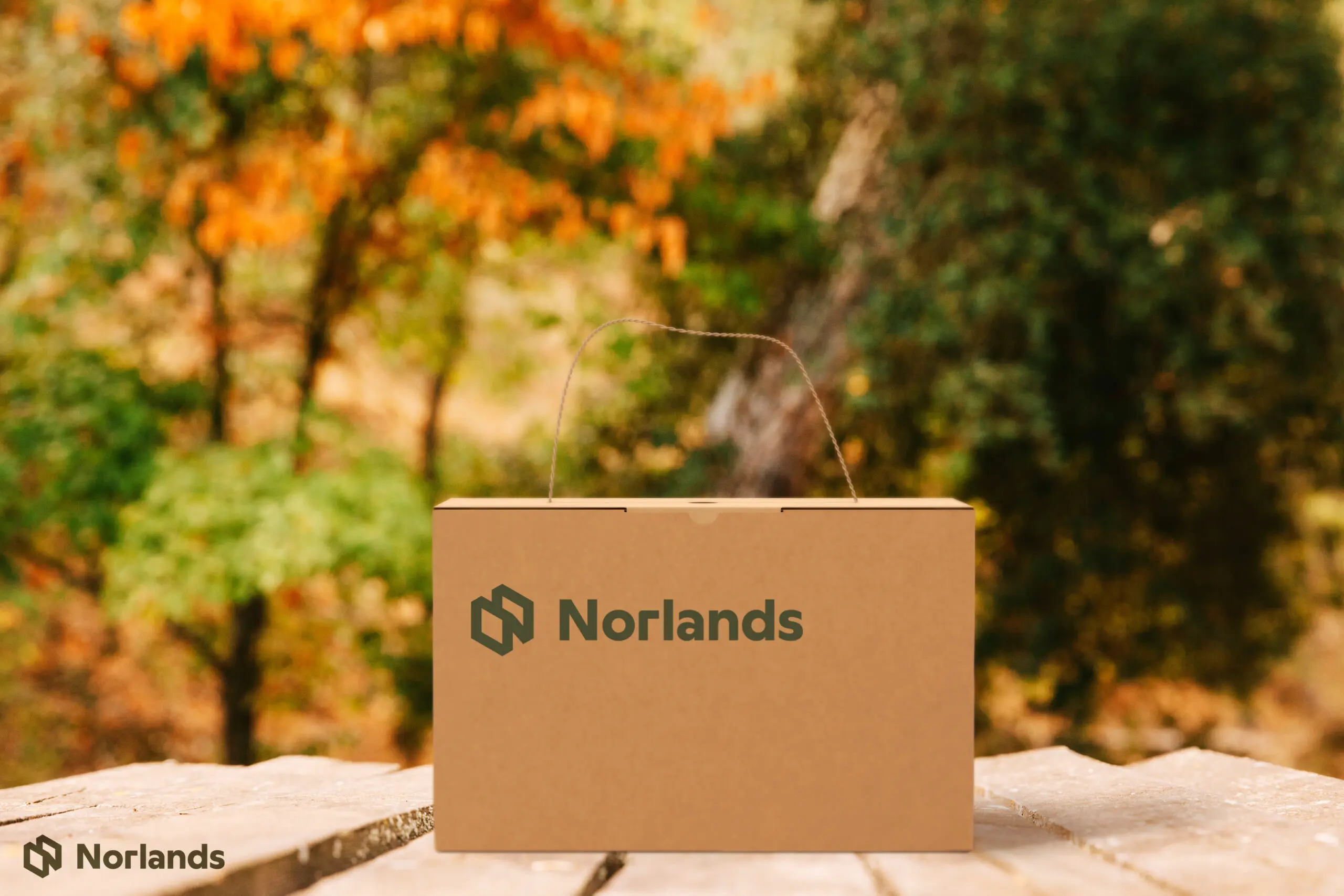 : Eco-friendly Norlands cardboard packaging box with handle placed on a wooden surface outdoors, surrounded by blurred autumn trees.
