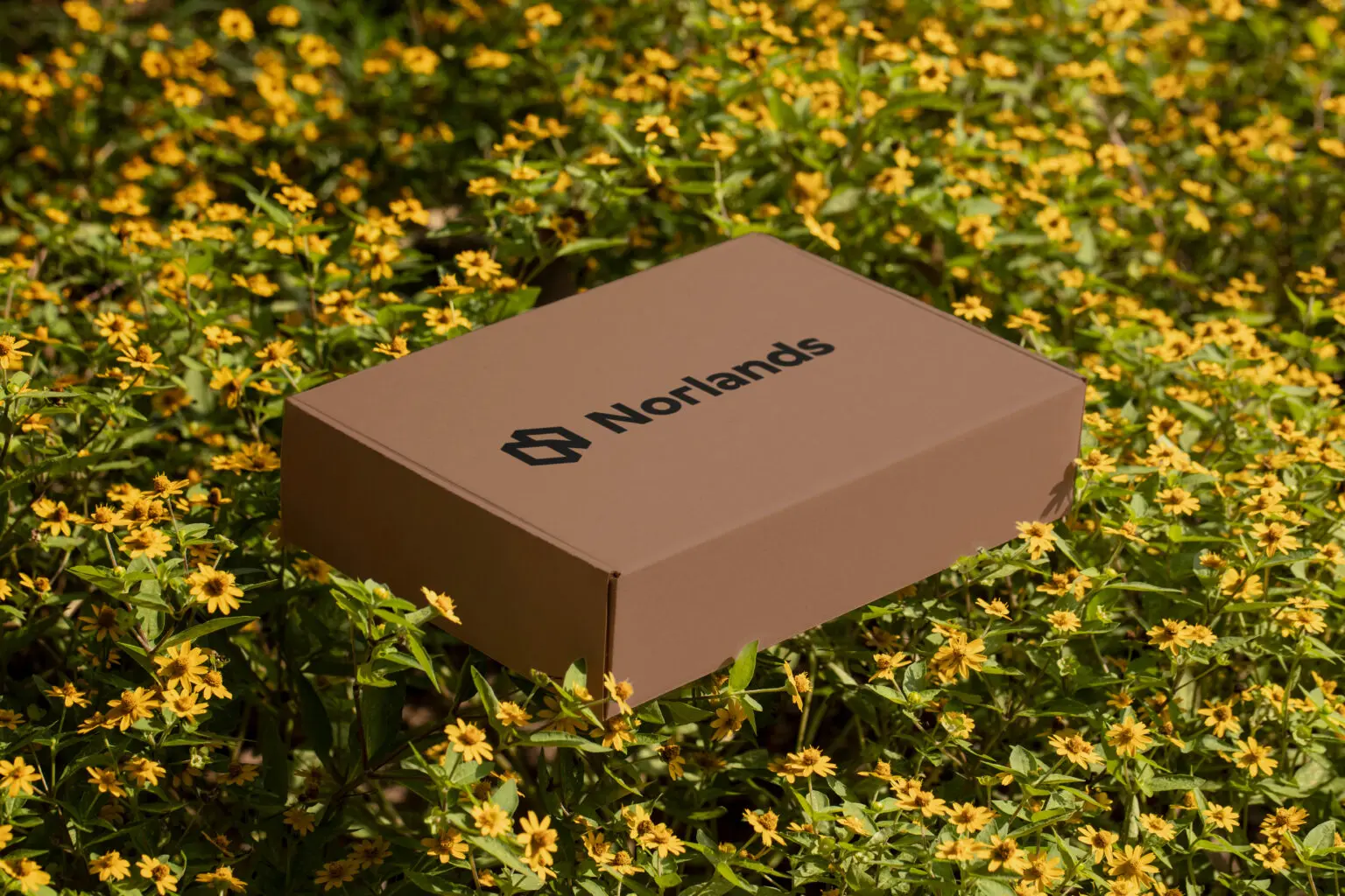 Norlands eco-friendly brown cardboard box placed among a field of small yellow flowers.