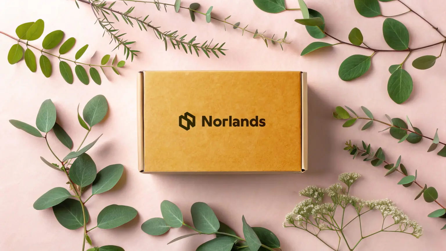 Alt Text:Eco-friendly Norlands cardboard box surrounded by green leaves and branches on a soft pink background. 