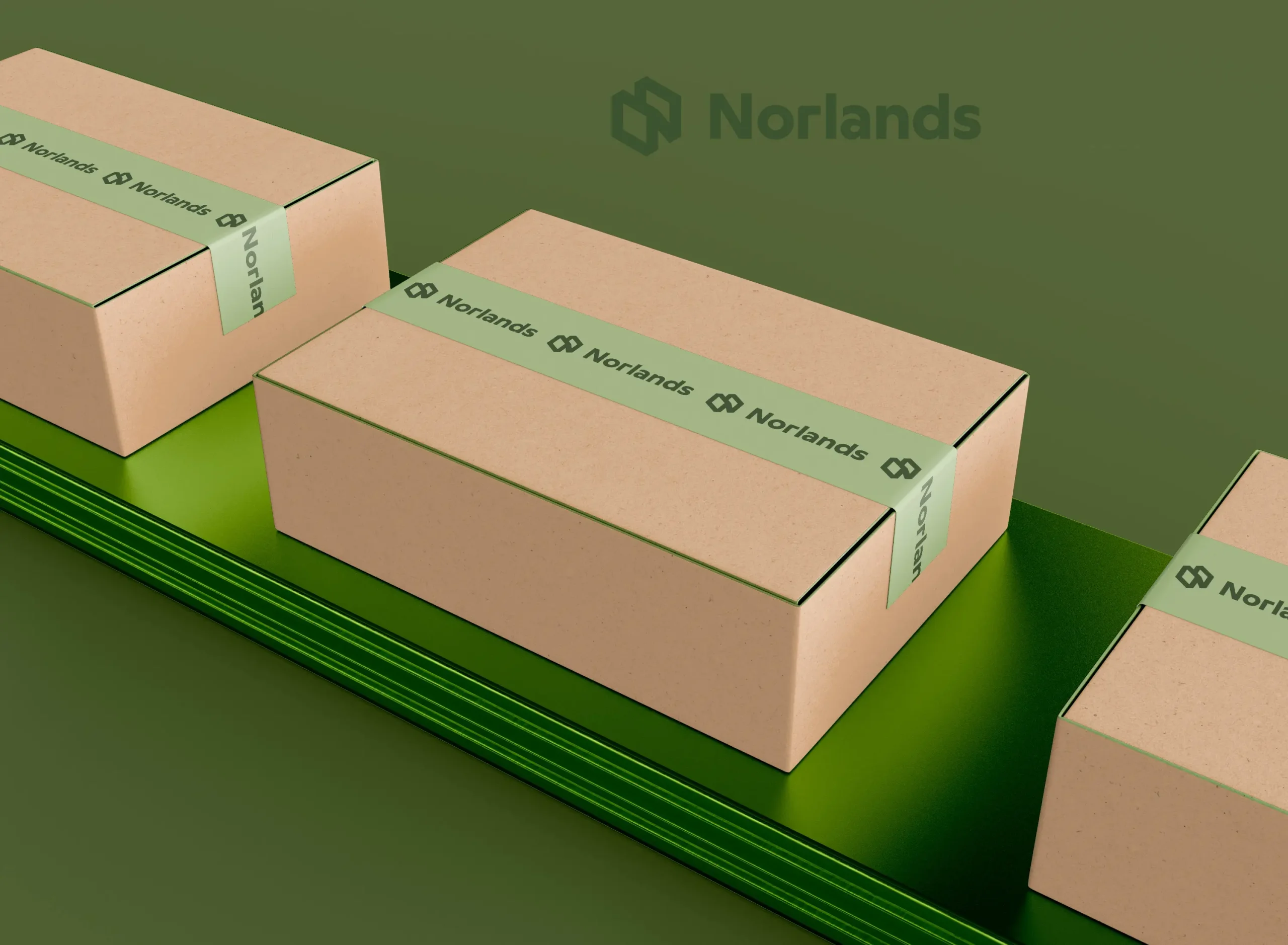 "Eco-friendly Norlands shipping boxes on a green conveyor line, representing sustainable production by a leading Packaging Company in Vancouver."