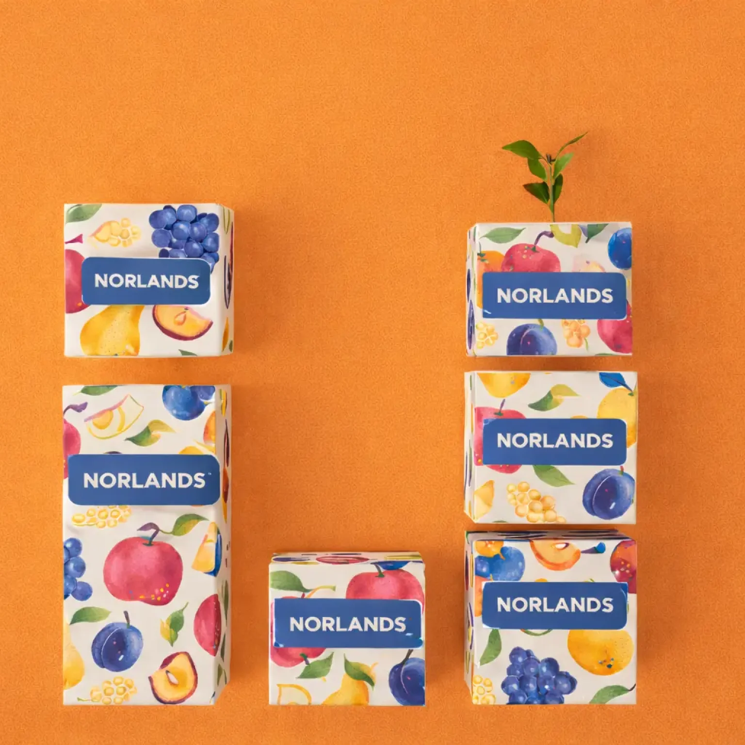 ChatGPT Image Feb 4, 2026, 09_45_49 PM