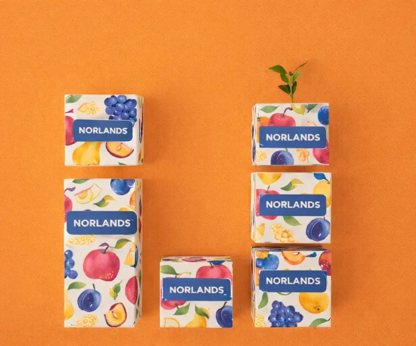 ChatGPT Image Feb 4, 2026, 09_45_49 PM