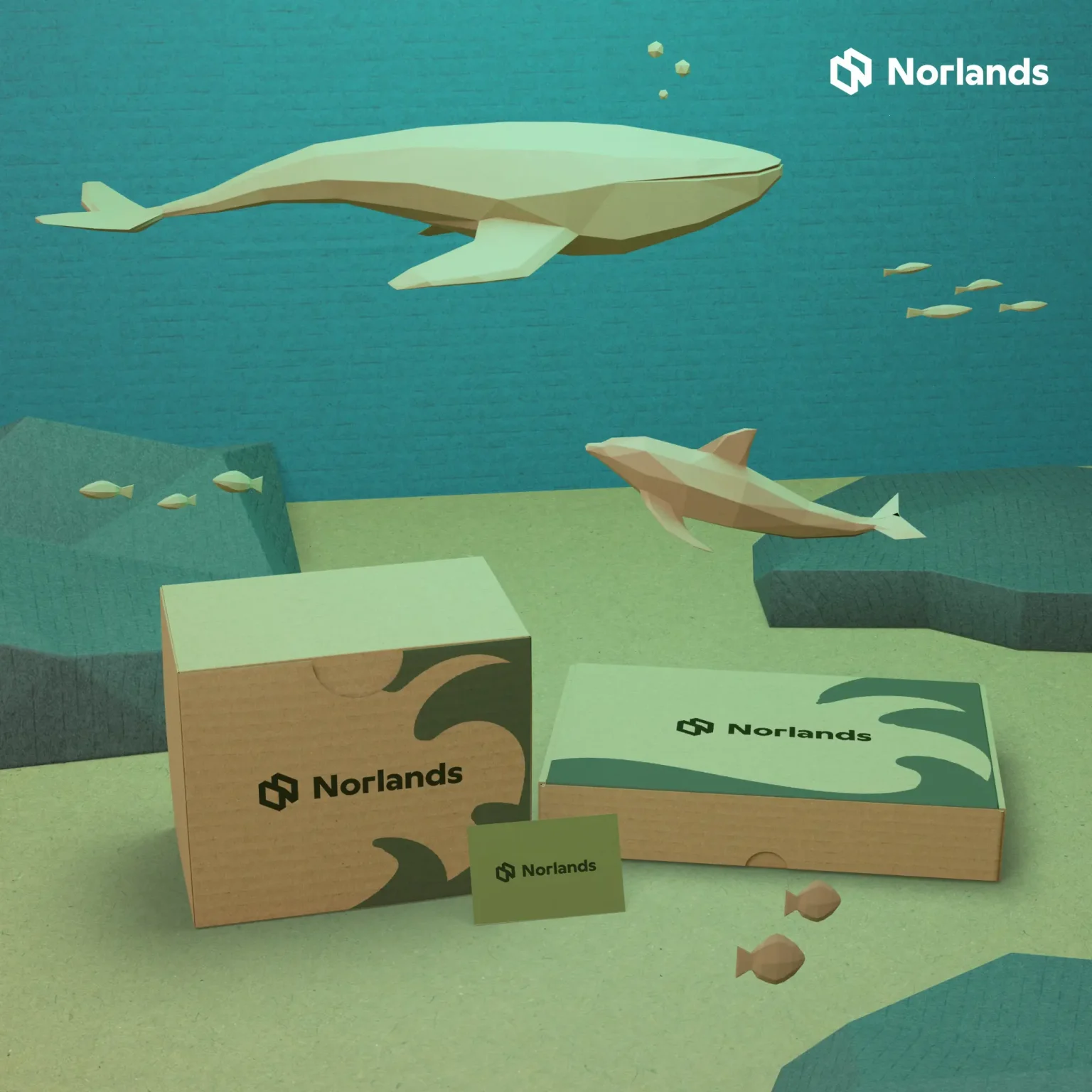 Local packaging supply chains Vancouver represented through sustainable branded corrugated packaging inspired by ocean and marine ecosystems