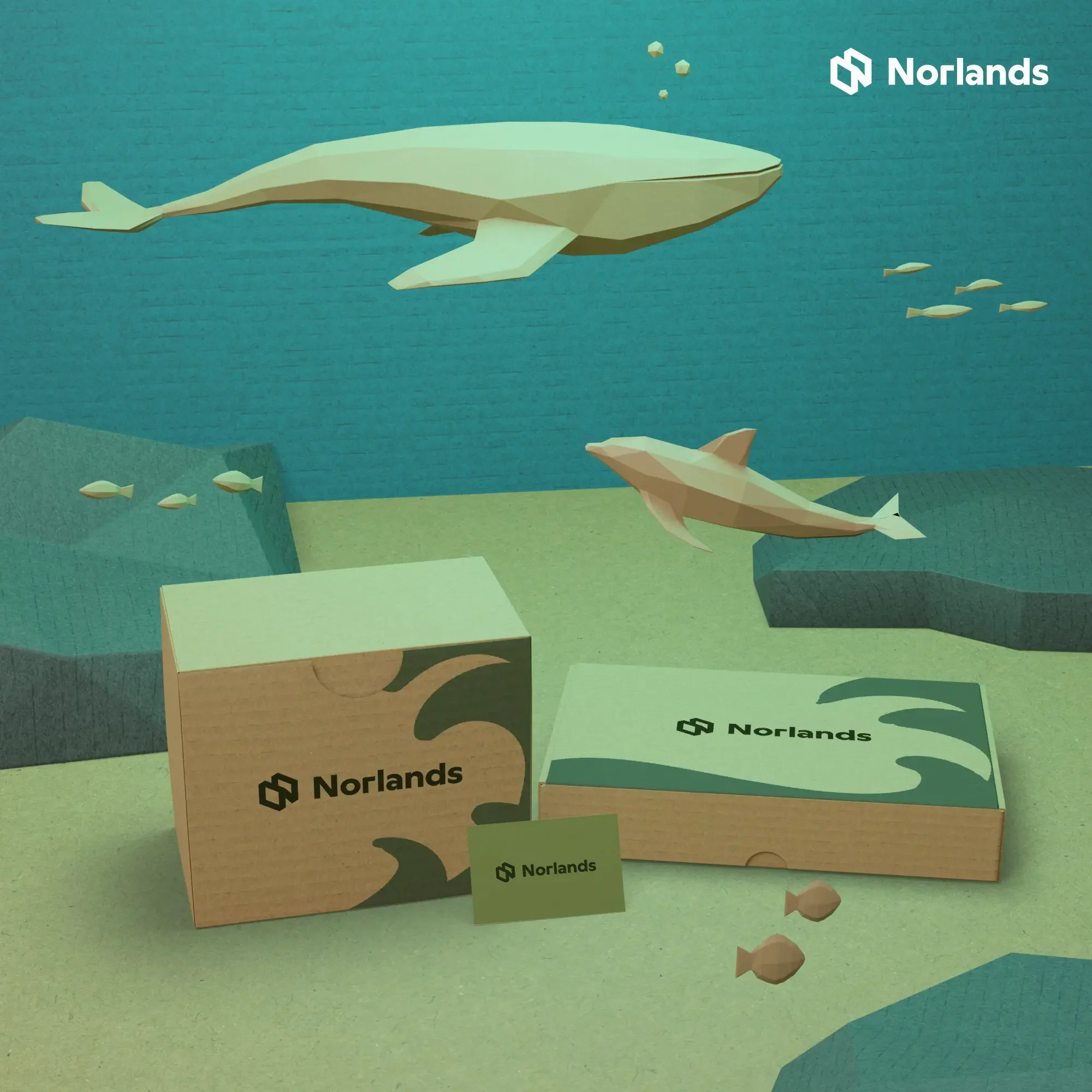 Local packaging supply chains Vancouver represented through sustainable branded corrugated packaging inspired by ocean and marine ecosystems