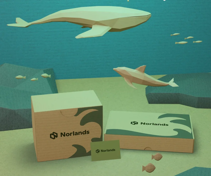 Local packaging supply chains Vancouver represented through sustainable branded corrugated packaging inspired by ocean and marine ecosystems