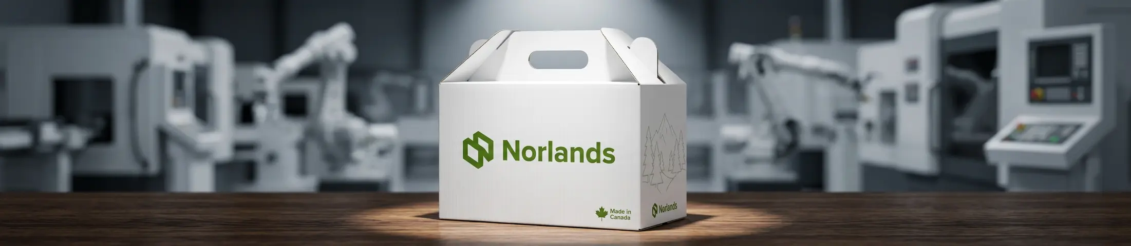 Reinforced carry box design showcasing heavy duty packaging solutions Canada for industrial and commercial applications