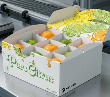 Packaging risk management Canada with compartment based protection for delicate products