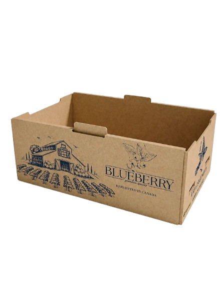 Custom Printed Box