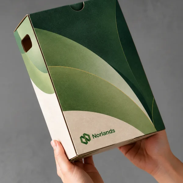 Custom box packaging canada box with integrated handle