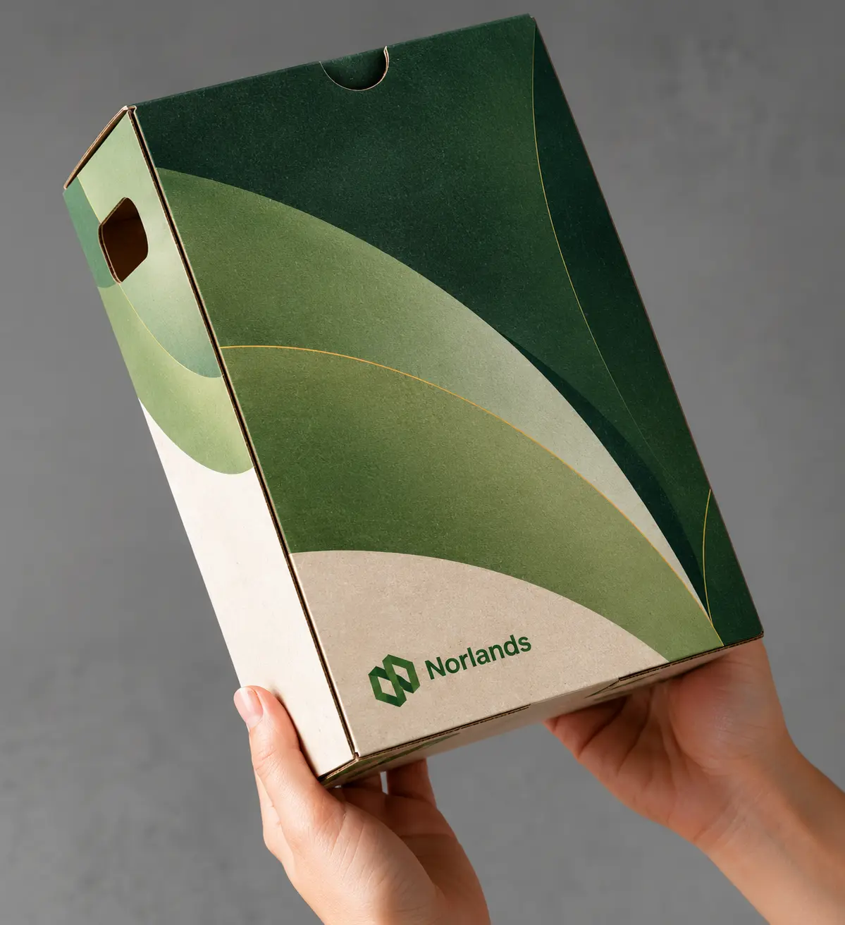 Custom box packaging canada box with integrated handle